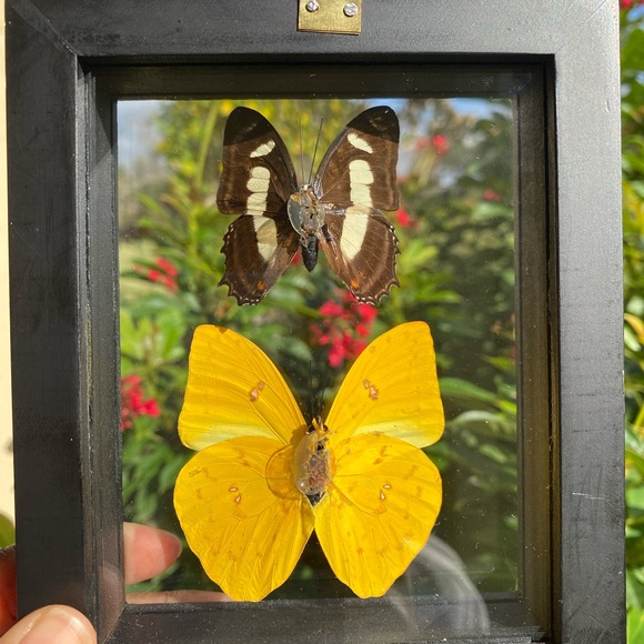 Butterfly Wall Hanging - Picture 3 of 3